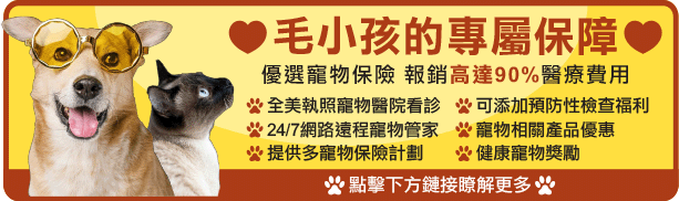 pet-insurance