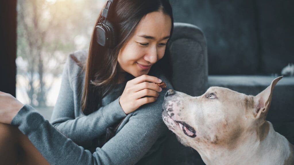 比特犬和女人