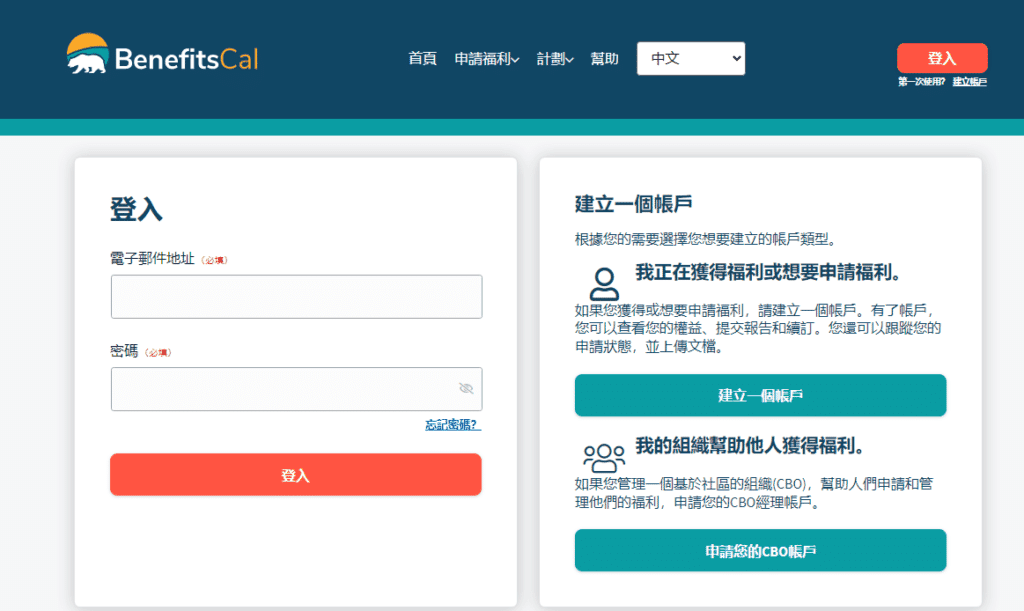 視力檢查