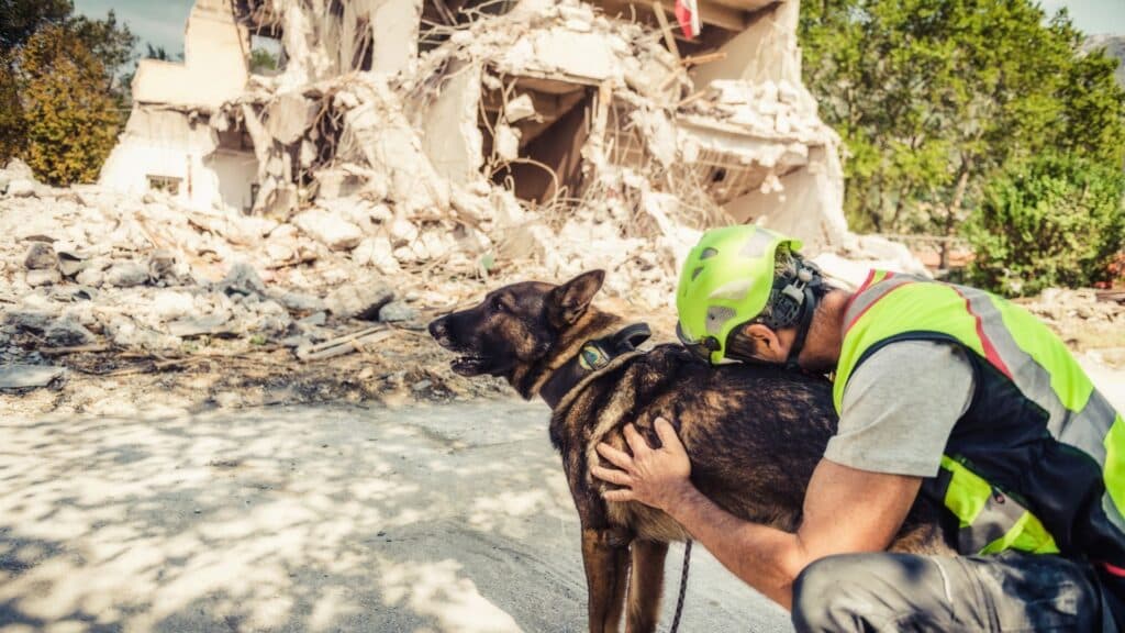 地震救援人員與搜救犬