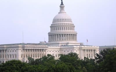 华盛顿特区的美国国会大厦