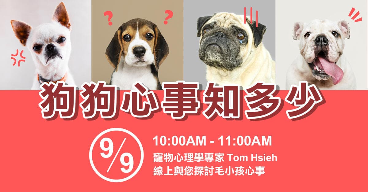 dog-training-webinar
