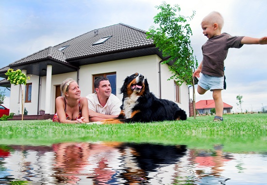 5 Questions to Ask When Shopping for Home Insurance