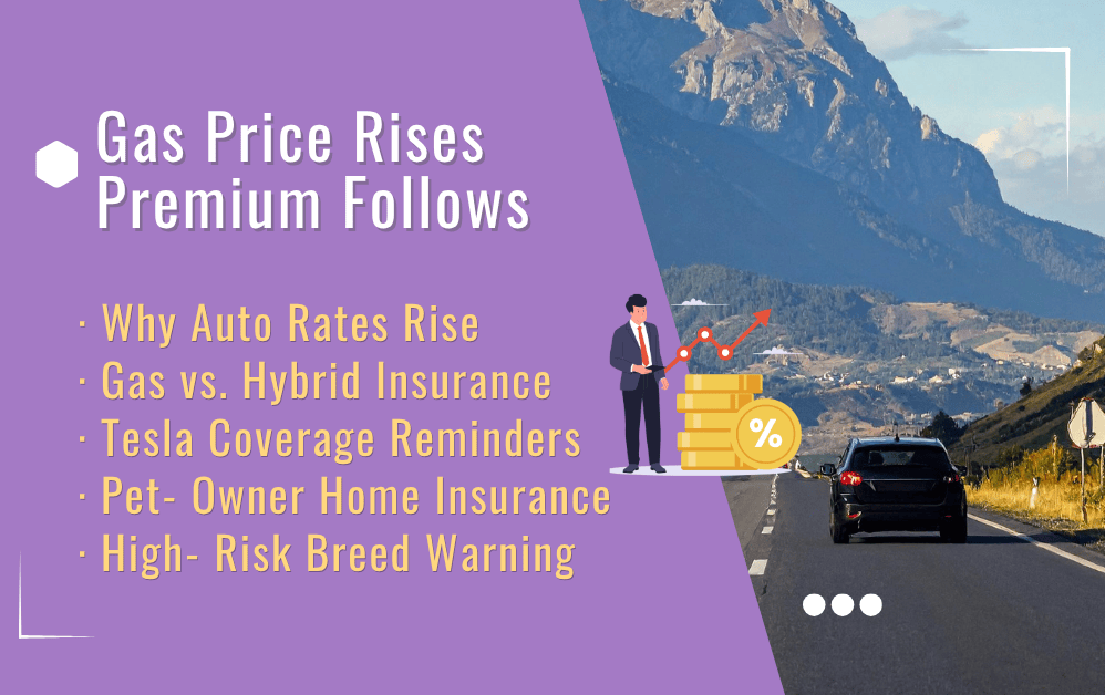 Gas Price Rises, Premium Follows. A Hidden Pet Clause Most Homeowners Are Unaware Of.
