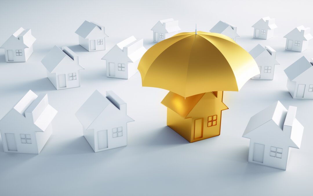 在美国“防碰瓷”必备的 雨伞险