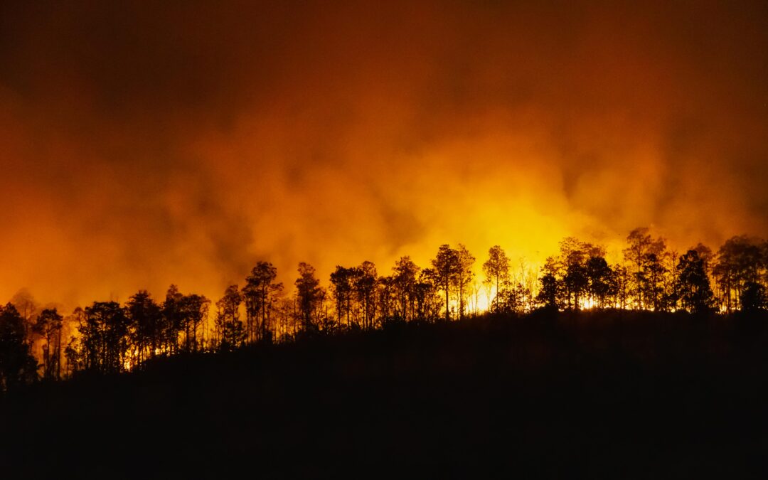 不是断保就是涨价! 美国知名保险公司停止在加州销售新房屋保单
