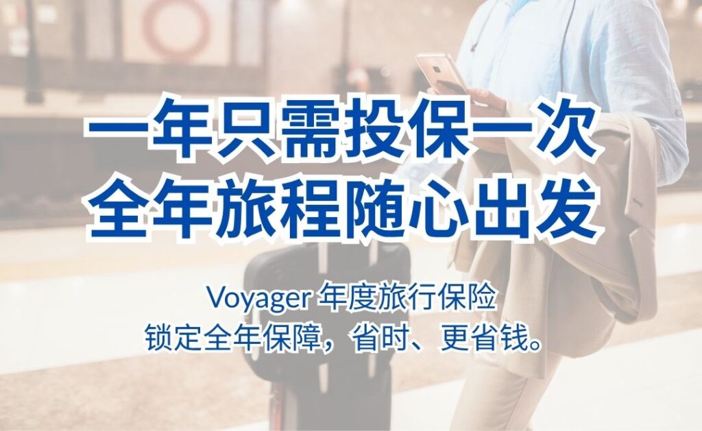 全年旅游保险简体手机