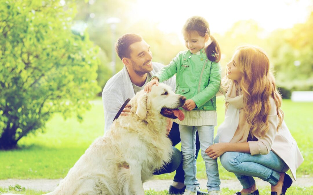 家裡養狗恐影響 房屋保險 ! 最常被保險公司限制的9種常見犬類