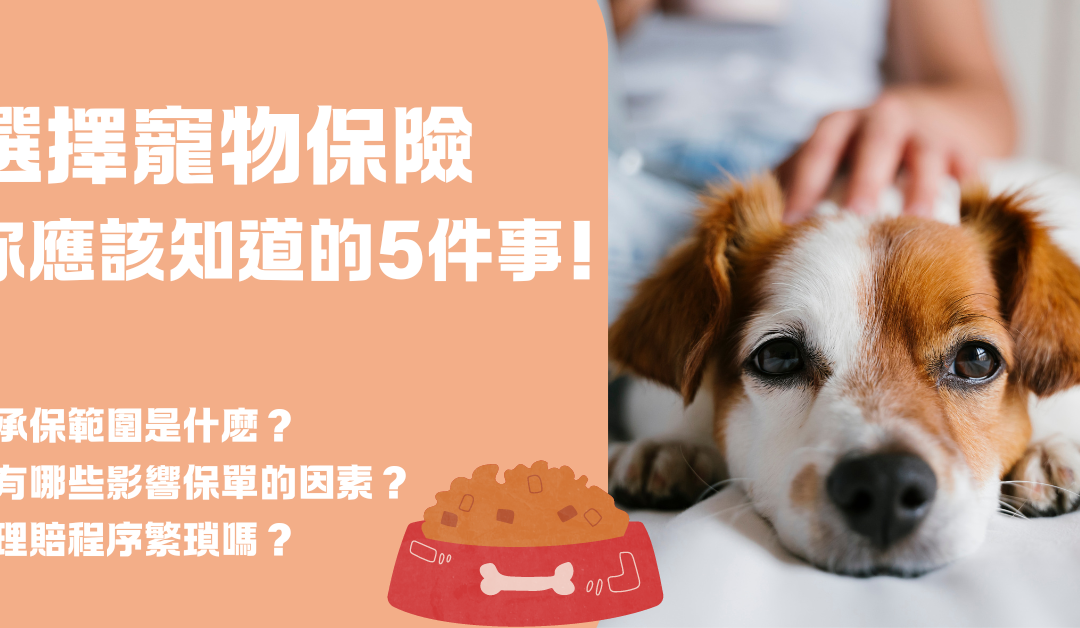 選購 寵物保險 ，你應該知道的5件事 | 華興保險專屬折扣