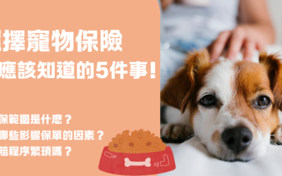 選購 寵物保險 ，你應該知道的5件事 | 華興保險專屬折扣