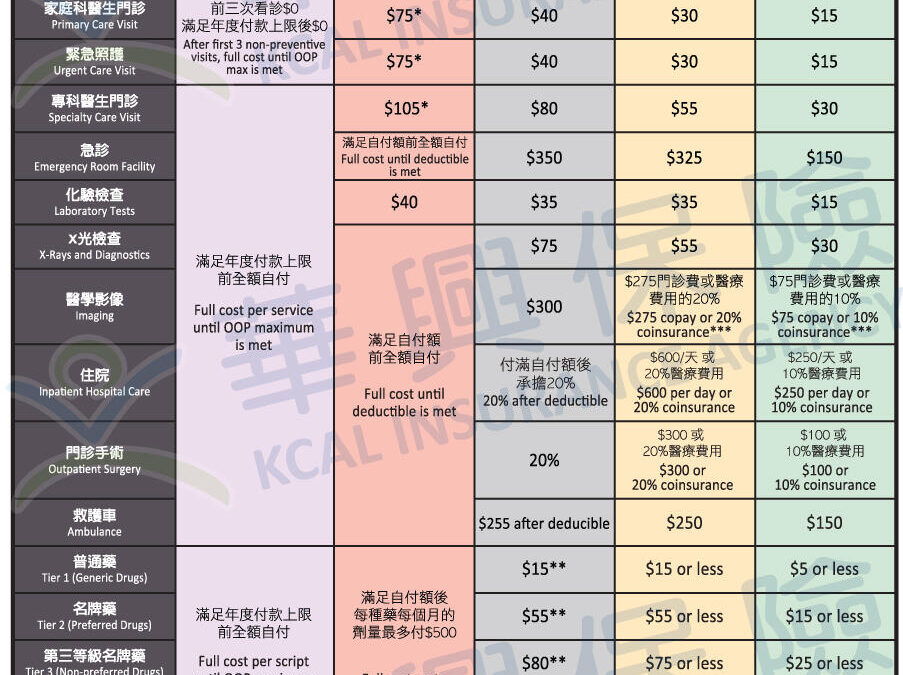 2019 個人健康保險標準福利